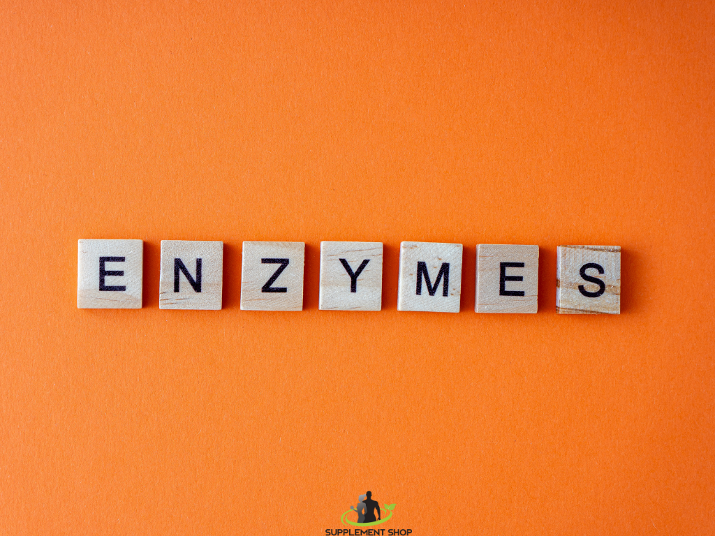 Uloga digestivnih enzima u proteinskim suplementima i ostalim suplementima za sportiste