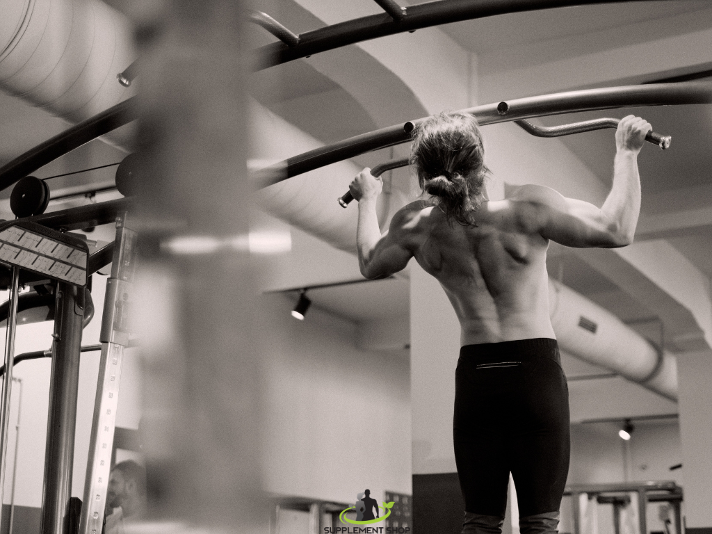 beta alanin i tipovi misicnih vlakana