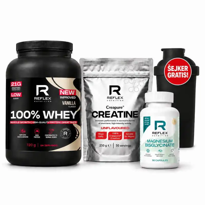 Back to gym L paket